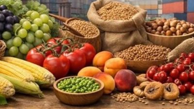 Ticaret Bakanlığı, GATE Projesi çerçevesinde Endonezya’ya tarım ve gıda ürünleri