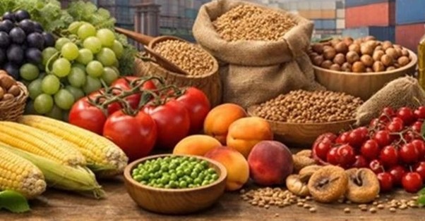 Ticaret Bakanlığı, GATE Projesi çerçevesinde Endonezya’ya tarım ve gıda ürünleri