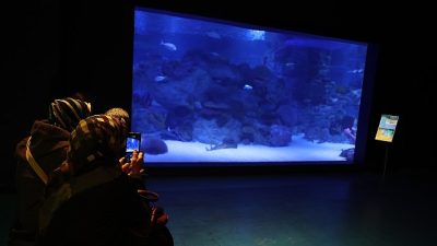 3 Aralık Dünya Engelliler Günü sebebiyle gerçekleştirilen etkinlikte Bağcılar Belediyesi