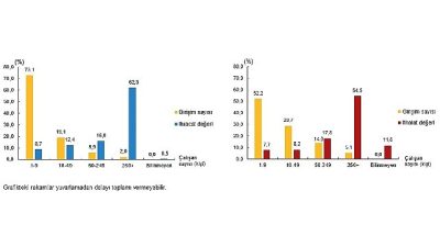 Hizmet ihracatının %62,3'ünü, hizmet ithalatının %54,5'ini büyük ölçekli girişimler yaptı