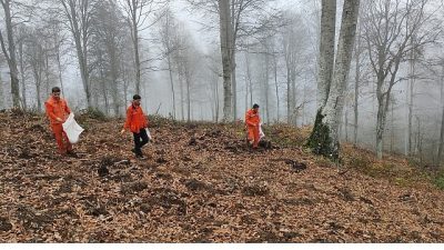 Geçtiğimiz Temmuz ayında Bursa’nın Harmancık ilçesinde meydana gelen büyük orman