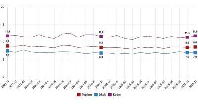 Mevsim etkisinden arındırılmış işsizlik oranı %8,6 seviyesinde gerçekleşti