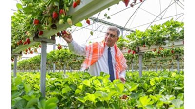 İzmir Büyükşehir Belediyesi  zor günler geçiren çiftçiye 2025 yılında 550