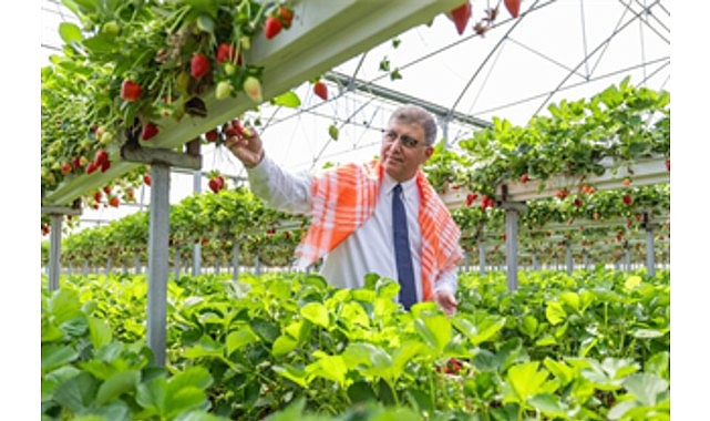 İzmir Büyükşehir Belediyesi  zor günler geçiren çiftçiye 2025 yılında 550