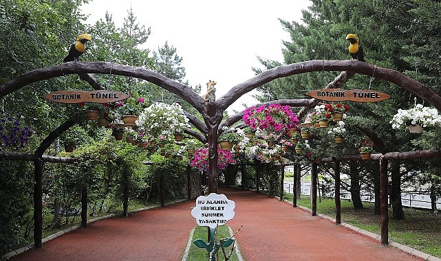 Keçiören Belediyesi, ilçeyi daha yeşil, estetik ve yaşanabilir kılmak için