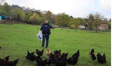 Kocaeli Büyükşehir Belediyesi’nin yüzde 50 hibeli “Doğal Salma Yumurta Tavukçuluğu