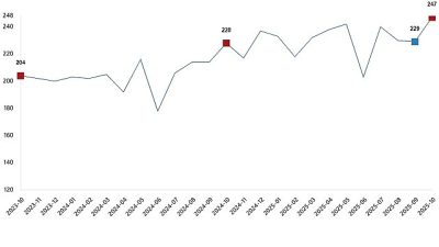 Tavuk eti üretimi 247 bin 392 ton, tavuk yumurtası üretimi