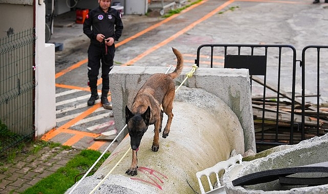 Maltepe’ye eğitilmesi için getirilen ve isimi Maltepeliler tarafından belirlenen Zeyna,