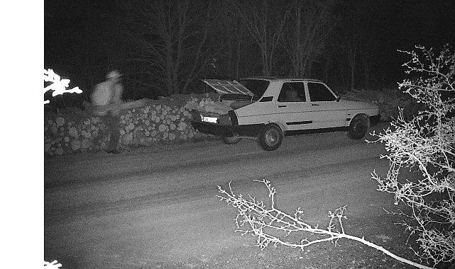 Kış koşullarıyla birlikte artış gösteren kaçak ağaç kesimi ve orman