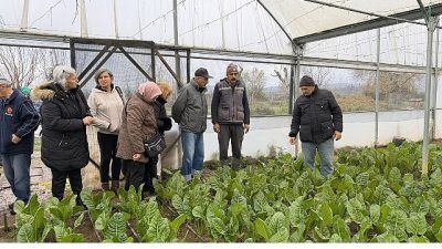 Kocaeli Büyükşehir Belediyesi’nin 65 yaş üstü bireyler için hizmete sunduğu