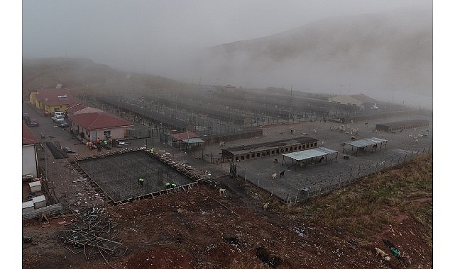 Sivas Belediyesi tarafından sahipsiz sokak hayvanlarının korunması, bakımlarının iyileştirilmesi ve