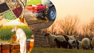 Tarım ve Orman Bakanı İbrahim Yumaklı, toplam 2 milyar TL