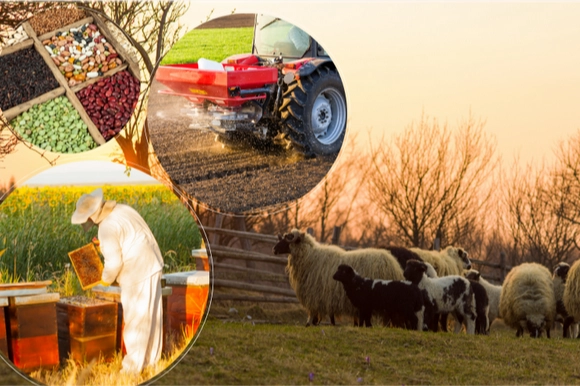 Tarım ve Orman Bakanı İbrahim Yumaklı, toplam 2 milyar TL