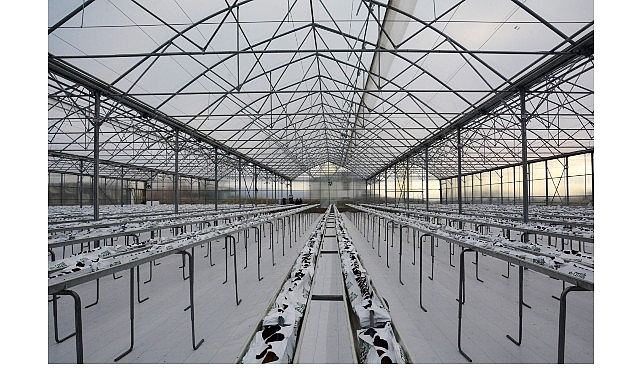 Kahramankazan’da modern tarımın geleceğine ışık tutan önemli bir proje daha