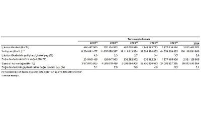 Turizm uydu hesabı, ulusal hesaplarla uyumlu olacak şekilde turizmin ekonomik