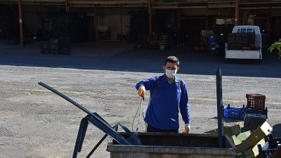 Antalya Büyükşehir Belediyesi Alanya’da vektörel mücadele çalışmaları kapsamındaki uygulamaları şehrin