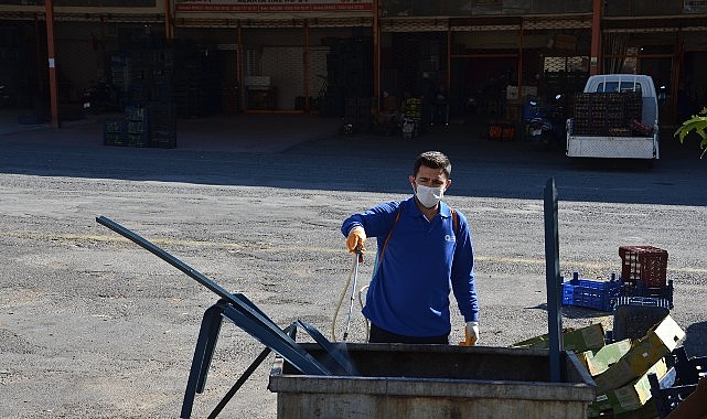 Antalya Büyükşehir Belediyesi Alanya’da vektörel mücadele çalışmaları kapsamındaki uygulamaları şehrin