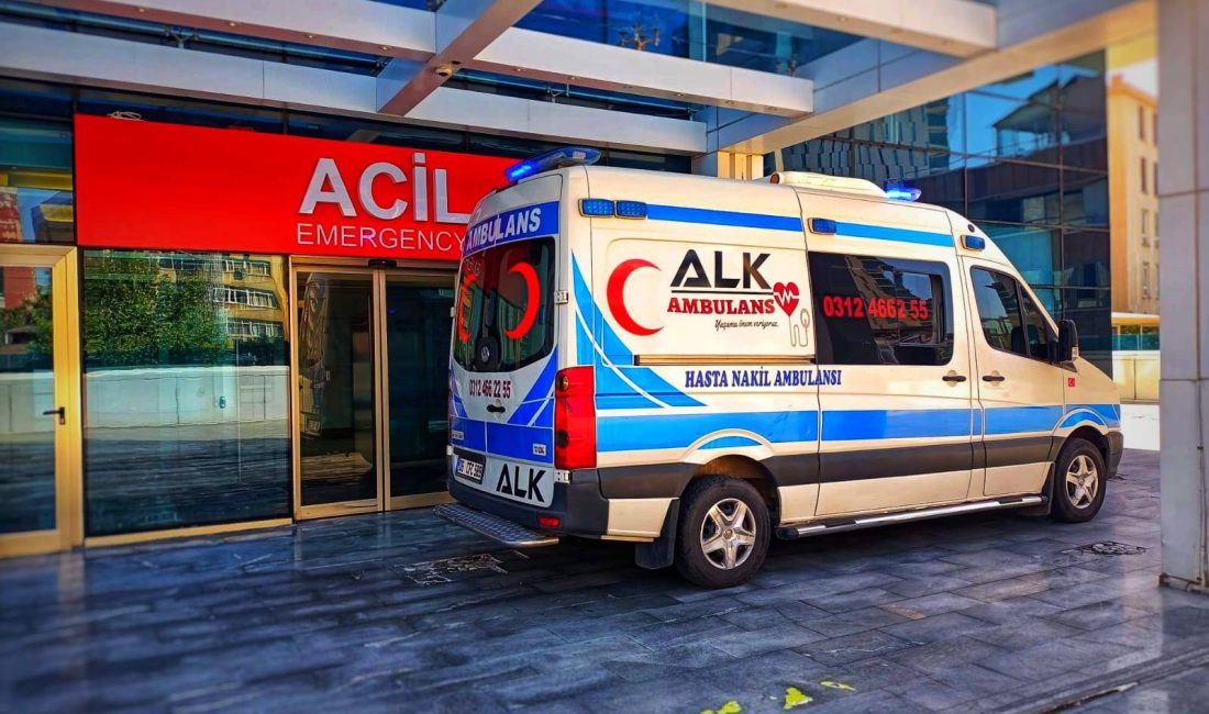 Birlik Sağlık Sen Genel Başkanı Ahmet Doğruyol, Sağlık Bakanlığı 112