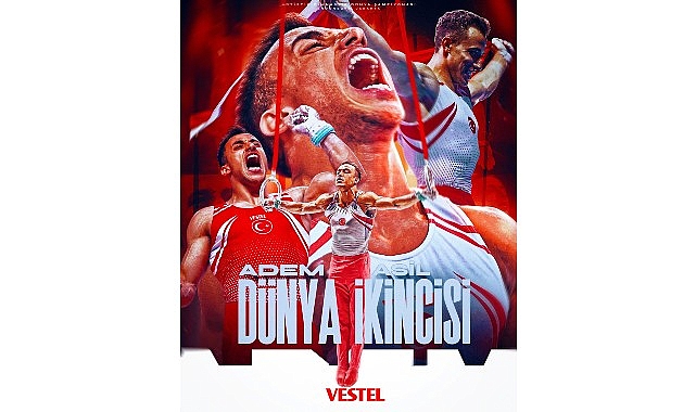 2025, Vestel’in sponsoru olduğu federasyonlar, milli takımlar ve bireysel sporcular