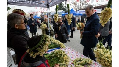 Karaburun’la özdeşleşen ve eşsiz kokusuyla her yıl heyecanla beklenen nergis