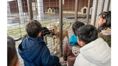Hem insan, hem hayvan, hem de çevre sağlığını gözeten bütüncül