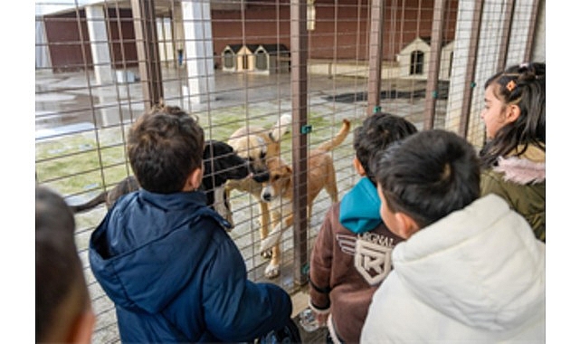 Hem insan, hem hayvan, hem de çevre sağlığını gözeten bütüncül