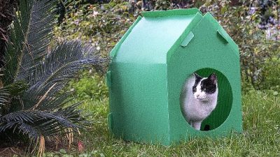 İzmirli hayvanseverler, İzmir Büyükşehir Belediye Başkanı Dr. Cemil Tugay’ın sosyal