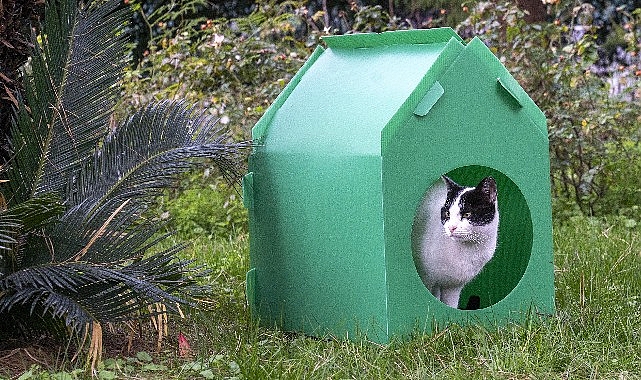 İzmirli hayvanseverler, İzmir Büyükşehir Belediye Başkanı Dr. Cemil Tugay’ın sosyal