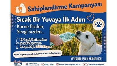 Bayrampaşa Belediyesi, sokak hayvanlarının sıcak ve kalıcı yuvalara kavuşması amacıyla