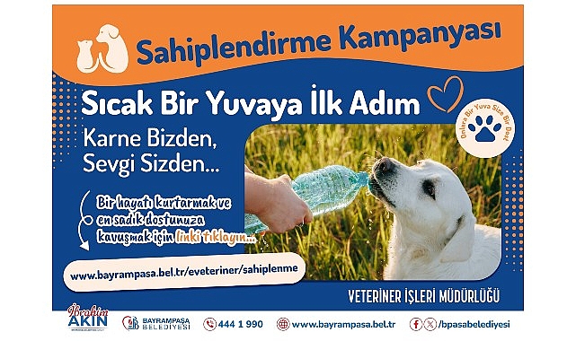 Bayrampaşa Belediyesi, sokak hayvanlarının sıcak ve kalıcı yuvalara kavuşması amacıyla