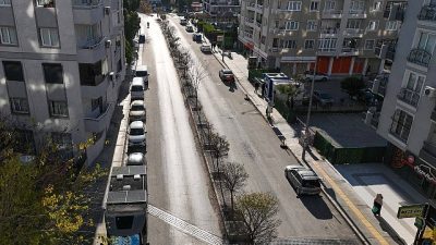 Buca Belediyesi, ilçede yer alan park, yeşil alan ve refüjlerde