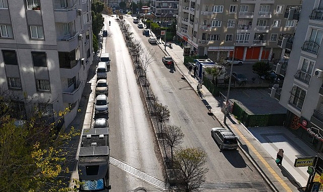 Buca Belediyesi, ilçede yer alan park, yeşil alan ve refüjlerde