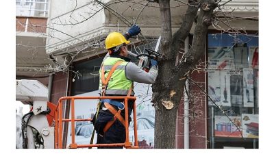 Küçükçekmece Belediyesi,  ağaç budama çalışmalarından elde edilen ağaç dallarıyla ihtiyaç