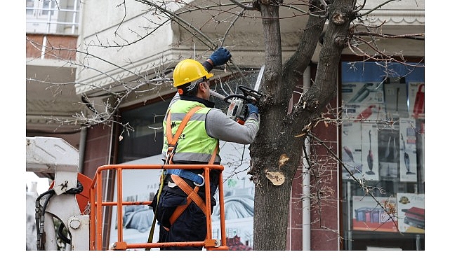 Küçükçekmece Belediyesi,  ağaç budama çalışmalarından elde edilen ağaç dallarıyla ihtiyaç