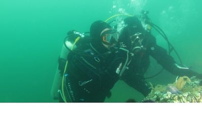 Kocaeli Büyükşehir Belediye Başkanı Tahir Büyükakın, akademisyenler ve dalgıçlarla birlikte,