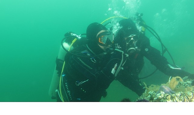 Kocaeli Büyükşehir Belediye Başkanı Tahir Büyükakın, akademisyenler ve dalgıçlarla birlikte,