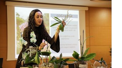 Antalya Büyükşehir Belediyesi Park ve Bahçeler Dairesi Başkanlığı tarafından, orkide