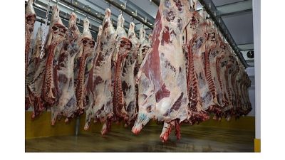 Kocaeli Büyükşehir Belediyesi’ne bağlı olarak hizmet veren İzmit Mezbahası’nda 2025