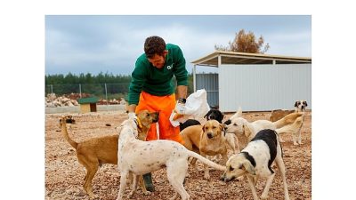 Antalya’da yaşayan sahipsiz can dostları için Türkiye’nin en modern tesislerinden
