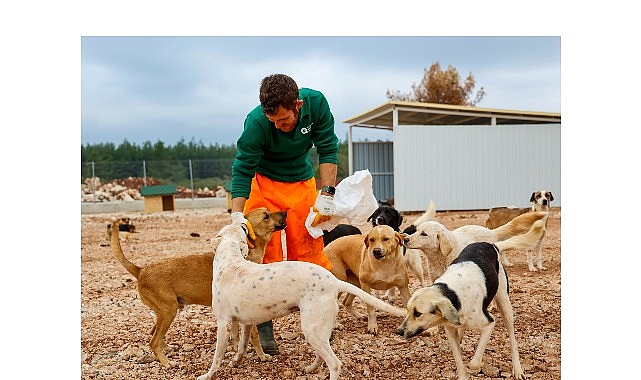 Antalya’da yaşayan sahipsiz can dostları için Türkiye’nin en modern tesislerinden