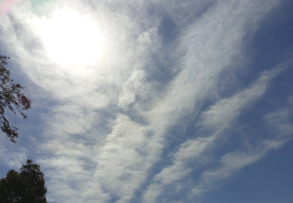 Küresel ölçekte tartışılan ve kamuoyunun dikkatini çeken; Chemtrails (kimyasal izler)