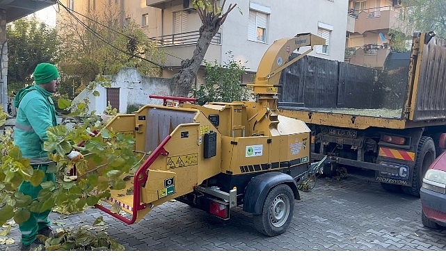 Milas Belediyesi, budama yapılırken alanda bulunan atıkları parçalamada iş gücünü