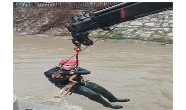 Karabağlar Aşık Veysel Mahallesi’nde dereye düşerek mahsur kalan bir köpek