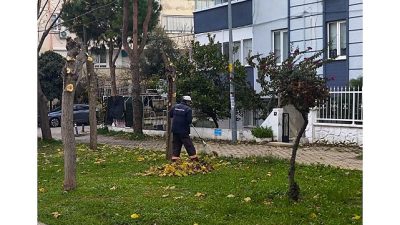 Didim Belediyesi, kent estetiğini korumak ve halkın daha yeşil, daha