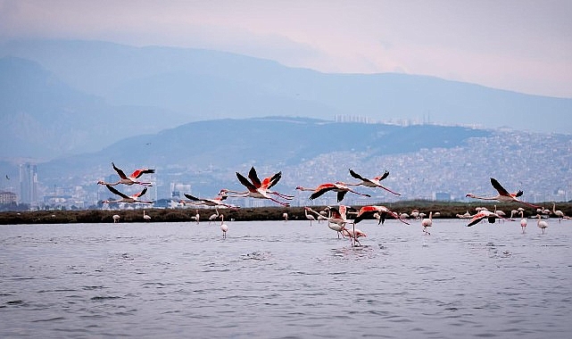 İzmir Büyükşehir Belediyesi’ne bağlı İZDENİZ, yarıyıl tatilinde İzmirlileri doğa, kültür