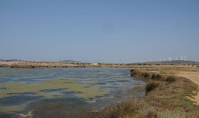 Ege Üniversitesi Fen Fakültesi Biyoloji Bölümü  öğretim üyesi ve Botanik