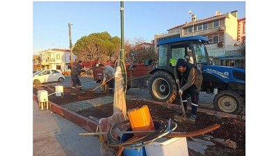 Ayvalık Belediyesi Park ve Bahçeler Müdürlüğü ekipleri, kış sezonunun başlamasıyla