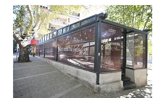 Bornova Belediyesi’nin Eros Kedi Kliniği, açıldığı dört ay içinde 1901