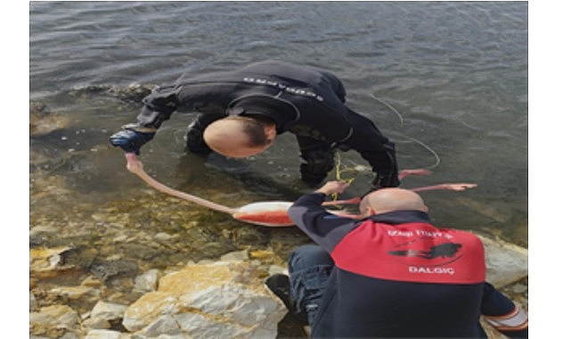 İzmir’in Balçova ilçesindeki İnciraltı Kent Ormanı’nda, vücuduna ip dolanan flamingo,