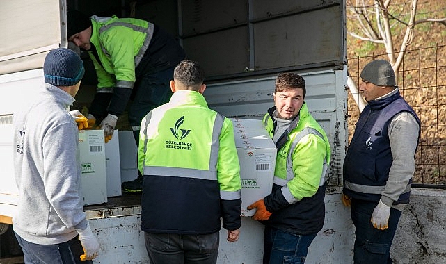 Güzelbahçe Belediyesi, Çamlı Küçükkaya ve Payamlı köylerindeki 152 çiftçiye gübre